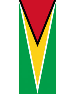 Bandera: Bandera vertical con manga cerrada para potencia Guyana |  bandera vertical | 3.5m² | 300x120cm 