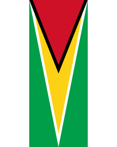 Bandera: Bandera vertical con manga cerrada para potencia Guyana |  bandera vertical | 3.5m² | 300x120cm 