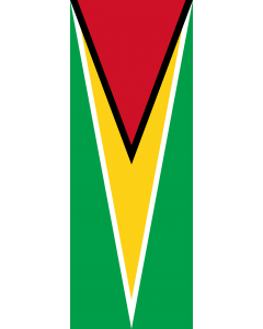 Bandera: Bandera vertical con manga cerrada para potencia Guyana |  bandera vertical | 6m² | 400x150cm 