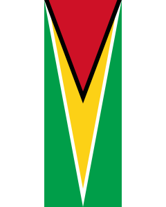 Bandera: Bandera vertical con manga cerrada para potencia Guyana |  bandera vertical | 6m² | 400x150cm 