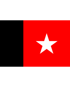 Flag: Republic of Independent Guyana between 1887 - 1904 |  landscape flag | 2.16m² | 23sqft | 120x180cm | 4x6ft 