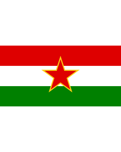 Flag: Image by User R-41 of the former Yugoslav Hungarian minority flag |  landscape flag | 1.35m² | 14.5sqft | 80x160cm | 30x60inch 