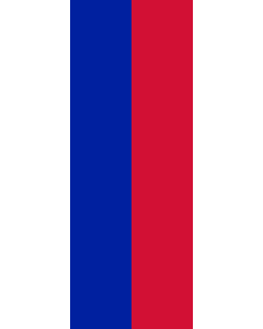 Vertical Hanging Swivel Crossbar Banner Flag: Haiti |  portrait flag | 6m² | 64sqft | 400x150cm | 13x5ft 