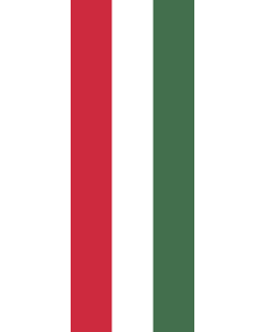 Vertical Hanging Swivel Crossbar Banner Flag: Hungary |  portrait flag | 6m² | 64sqft | 400x150cm | 13x5ft 