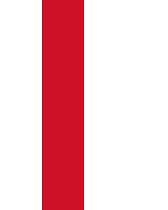 Bandera: Bandera vertical con manga cerrada para potencia Indonesia |  bandera vertical | 3.5m² | 300x120cm 