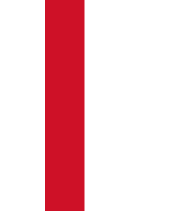 Banner-Flagge:  Indonesien  |  Hochformat Fahne | 6m² | 400x150cm 