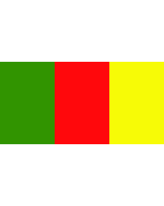 Flag: County Carlow |  landscape flag | 1.35m² | 14.5sqft | 80x160cm | 30x60inch 