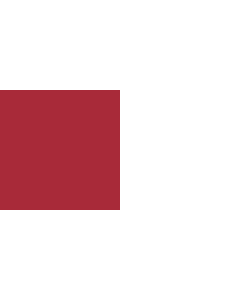 Flag: Galway Westmeath |  landscape flag | 1.35m² | 14.5sqft | 80x160cm | 30x60inch 