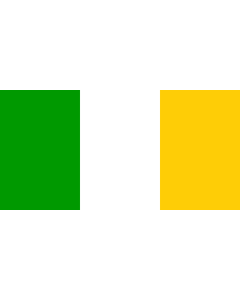 Flag: County Offaly |  landscape flag | 2.16m² | 23sqft | 100x200cm | 40x80inch 