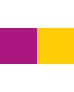 Flag: County Wexford |  landscape flag | 1.35m² | 14.5sqft | 80x160cm | 30x60inch 