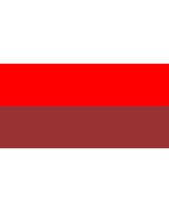 Flagge: Large Mysore | Kingdom of Mysore  |  Querformat Fahne | 1.35m² | 80x160cm 