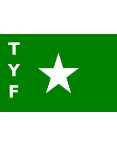 Flag: TYF |  landscape flag | 0.06m² | 0.65sqft | 20x30cm | 8x12in 