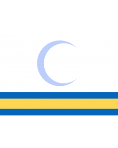 Flag: A proposal for the a future iraqi flag by the Coalition Provisional Authority from 2004, rejected after widespread criticism |  landscape flag | 1.35m² | 14.5sqft | 90x150cm | 3x5ft 