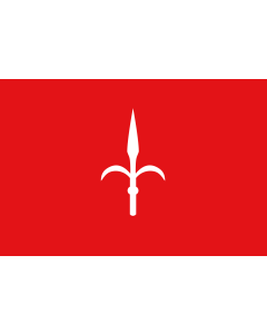 Flag: Province of Trieste |  landscape flag | 0.06m² | 0.65sqft | 20x30cm | 8x12in 