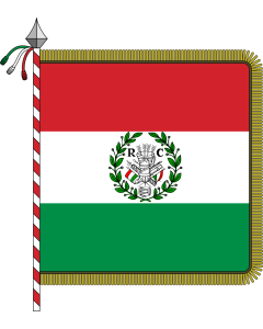 Flagge: XL Repubblica Cispadana | Cispadane Republic | República Cispadana | Ed la Repóblica Cispadâna | Ciszpadániai Köztársaság | Rei publicae Cispadanae  |  Fahne 2.16m² | 150x140cm 