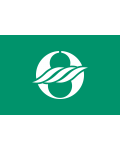 Flag: Nagahama, Shiga  Green background variant |  landscape flag | 1.35m² | 14.5sqft | 90x150cm | 3x5ft 