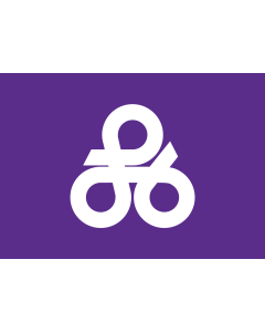 Bandera de  Okinawa, Okinawa | 沖縄市旗 |  bandera horizontal | 2.16m² | 120x180cm 