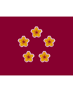 Flagge:  Standard of the Minister of Defence of Japan | 防衛大臣旗。総理大臣旗との差は地の色。艦船ではImage Naval Standard of the Minister of Defence of Japan  |  Querformat Fahne | 0.06m² | 22x27cm 