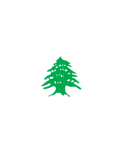 Flag: Cedar | Lebanon after the fall of the Ottoman empire |  landscape flag | 1.35m² | 14.5sqft | 90x150cm | 3x5ft 