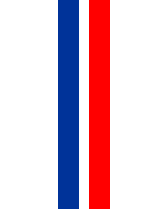 Flag: Schaan |  portrait flag | 0.7m² | 7.5sqft | 70x100cm | 2x3ft 