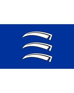 Flag: Triesen |  landscape flag | 0.7m² | 7.5sqft | 70x100cm | 2x3ft 