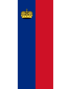 Bandera de Bandera vertical con manga cerrada para potencia Liechtenstein | bandera vertical | 3.5m² | 300x120cm