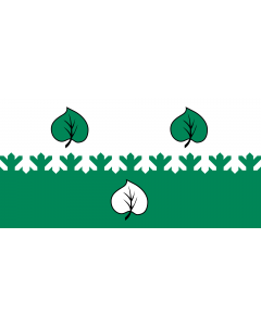 Flag: City of Aloja, Latvia |  landscape flag | 2.16m² | 23sqft | 100x200cm | 40x80inch 