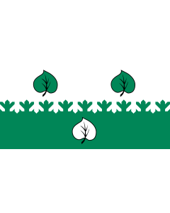 Flag: City of Aloja, Latvia |  landscape flag | 1.35m² | 14.5sqft | 80x160cm | 30x60inch 