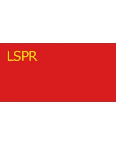 Flag: Latvian SSR 1919 |  landscape flag | 2.16m² | 23sqft | 100x200cm | 40x80inch 