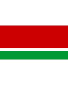 Flag: Lithuanian Soviet Socialist Republic, reverse side |  landscape flag | 2.16m² | 23sqft | 100x200cm | 40x80inch 