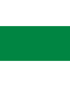 Flag: The national flag of the Libyan Jamahiriya from 1977 to 2011 |  landscape flag | 1.35m² | 14.5sqft | 80x160cm | 30x60inch 