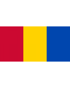 Flag: Back of the flag of Moldova  1990-2010 |  landscape flag | 1.35m² | 14.5sqft | 80x160cm | 30x60inch 