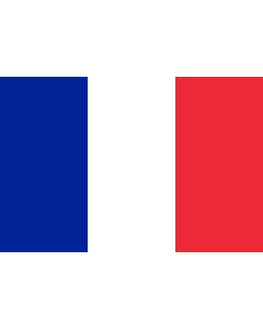 Table-Flag / Desk-Flag: Saint Martin (French part) 15x25cm