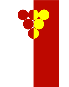 Flag: Kavadarci Municipality, Macedonia |  portrait flag | 1.35m² | 14.5sqft | 150x90cm | 60x35inch 