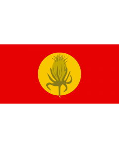 Flagge: XL Vevčani Municipality, North Macedonia | Знаме на Општина Вевчани  |  Querformat Fahne | 2.16m² | 100x200cm 