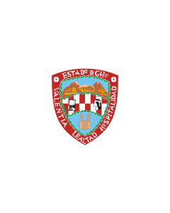 Flag: Chihuahua |  landscape flag | 6.7m² | 72sqft | 200x335cm | 6x11ft 