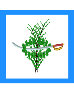 Bandera de  Interpretación de la Bandera Parlamentaria de México dada en el decreto del 14 de julio de 1815 por el Supremo Congreso Mexicano |  2.16m² | 150x150cm 