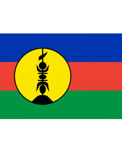 Flag: New Caledonia |  landscape flag | 0.7m² | 7.5sqft | 70x100cm | 2x3ft 