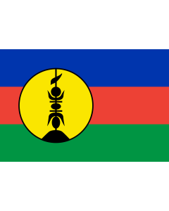 Flag: New Caledonia |  landscape flag | 0.06m² | 0.65sqft | 20x30cm | 8x12in 