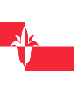 Flagge: Large Bernheze | Dutch municipality of Bernheze  Twee banen vanaf wisselende kleuren  |  Querformat Fahne | 1.35m² | 90x150cm 