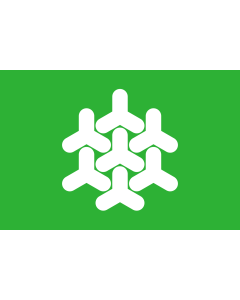 Flagge: XL Dronten | Dutch municipality of Dronten  |  Querformat Fahne | 2.16m² | 120x180cm 