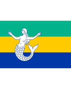 Flagge: Large Eemsmond | Dutch municipality of Eemsmond  |  Querformat Fahne | 1.35m² | 90x150cm 