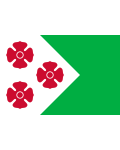 Flagge: Large Maasdonk | Dutch municipality of Maasdonk  |  Querformat Fahne | 1.35m² | 90x150cm 