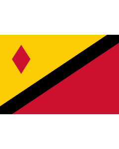 Flag: Stein, Limburg, the Netherlands |  landscape flag | 2.16m² | 23sqft | 120x180cm | 4x6ft 
