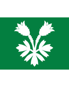 Bandera: Oppland |  bandera paisaje | 2.16m² | 130x170cm 