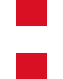 Bandera: Bandera vertical con manga cerrada para potencia Perú |  bandera vertical | 3.5m² | 300x120cm 