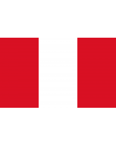 Bandera de Interior para protocolo: Perú 90x150cm