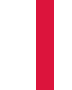 Vertical Hanging Beam Flag: Poland |  portrait flag | 3.5m² | 38sqft | 300x120cm | 10x4ft 