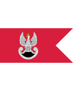 Bandera de  PL special forces flag IIIRP | Polish Special Forces flag. Adopted in 2009 | Wojsk Specjalnych. Wprowadzona w 2009 |  bandera horizontal | 1.35m² | 80x170cm 