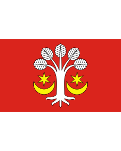 Flag: English Flag of gmina Bukowiec in Poland |  landscape flag | 2.16m² | 23sqft | 120x180cm | 4x6ft 